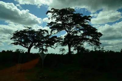 DSC_9661 (Large).JPG